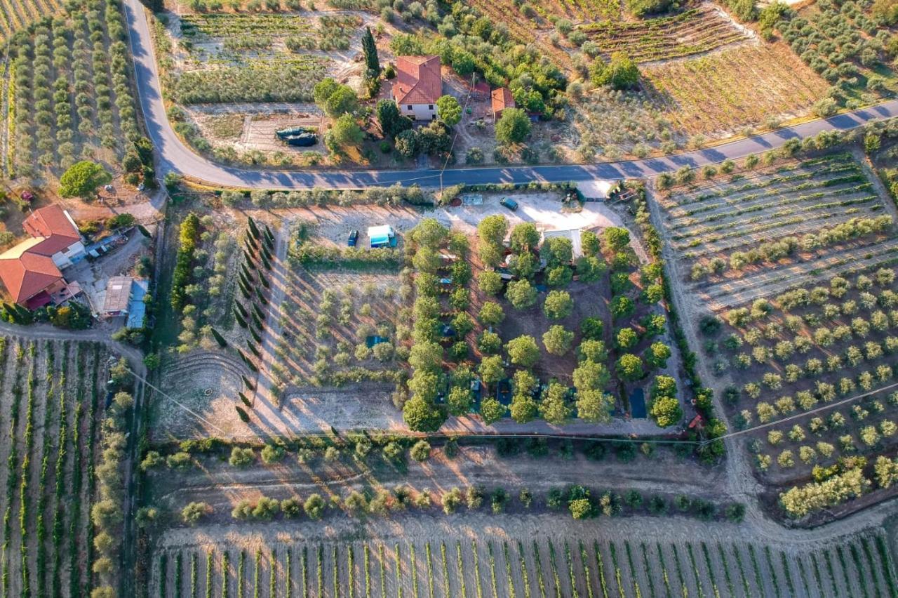 Agricamping Poggio Ai Pini Wine Camping Certaldo Buitenkant foto
