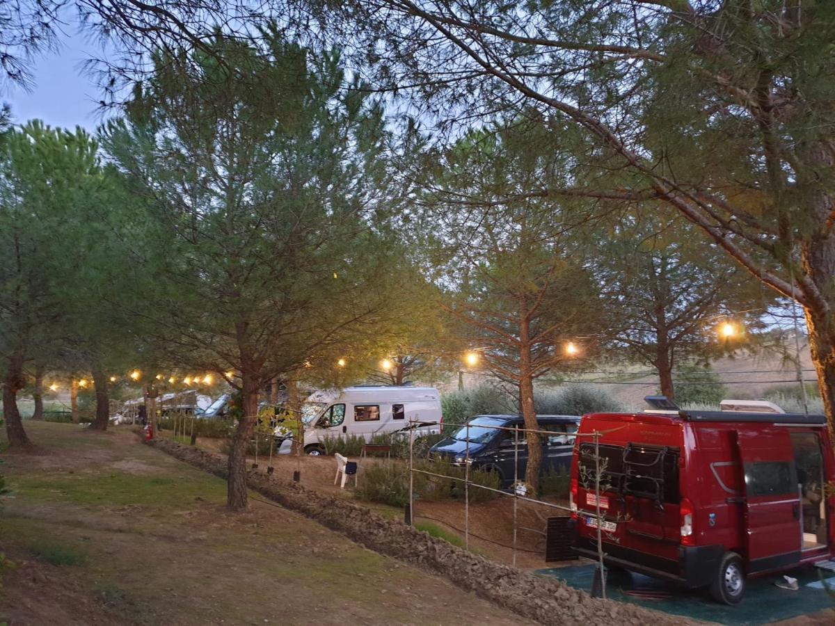 Agricamping Poggio Ai Pini Wine Camping Certaldo Buitenkant foto