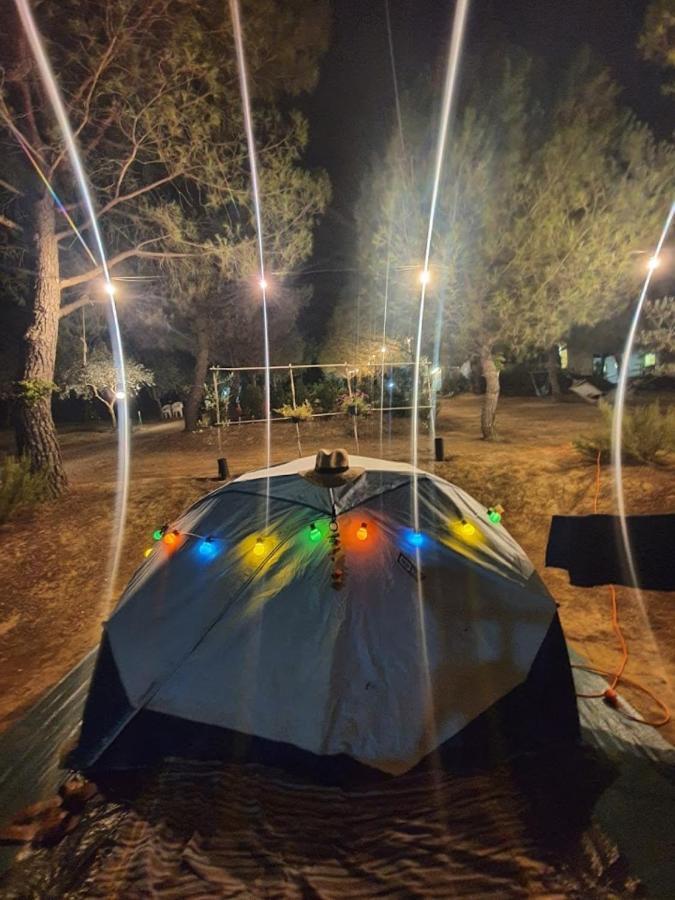 Agricamping Poggio Ai Pini Wine Camping Certaldo Buitenkant foto