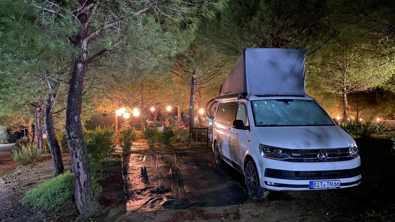 Agricamping Poggio Ai Pini Wine Camping Certaldo Buitenkant foto