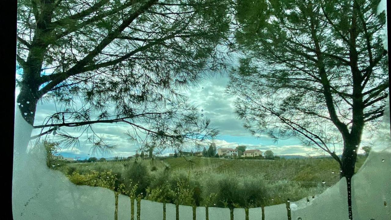 Agricamping Poggio Ai Pini Wine Camping Certaldo Buitenkant foto