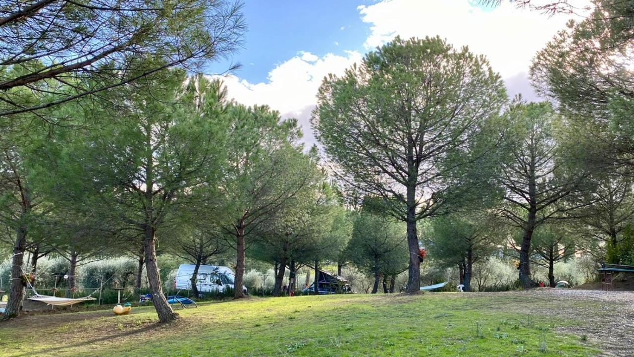 Agricamping Poggio Ai Pini Wine Camping Certaldo Buitenkant foto