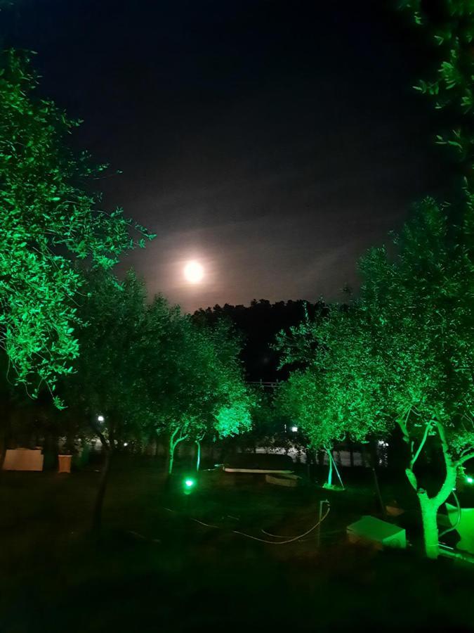 Agricamping Poggio Ai Pini Wine Camping Certaldo Buitenkant foto