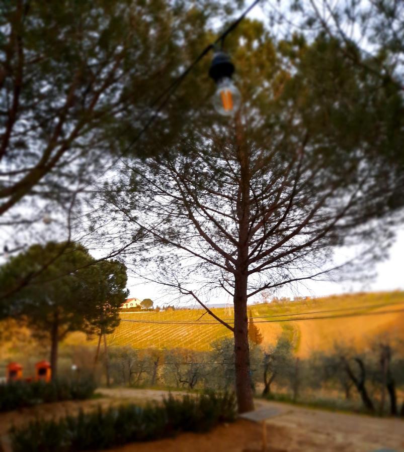 Agricamping Poggio Ai Pini Wine Camping Certaldo Buitenkant foto