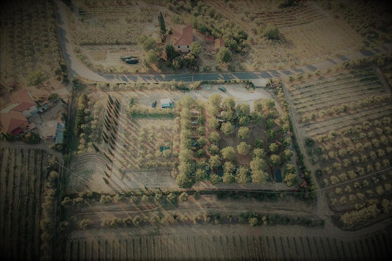Agricamping Poggio Ai Pini Wine Camping Certaldo Buitenkant foto