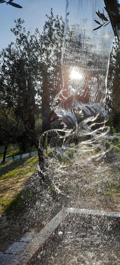 Agricamping Poggio Ai Pini Wine Camping Certaldo Buitenkant foto