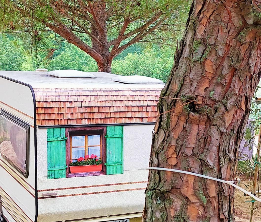 Agricamping Poggio Ai Pini Wine Camping Certaldo Buitenkant foto
