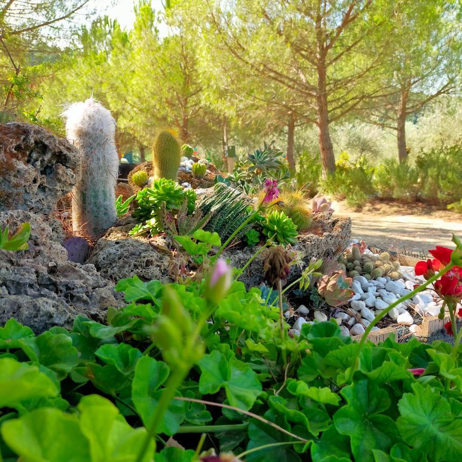 Agricamping Poggio Ai Pini Wine Camping Certaldo Buitenkant foto