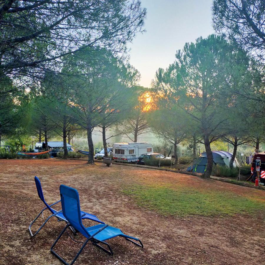 Agricamping Poggio Ai Pini Wine Camping Certaldo Buitenkant foto
