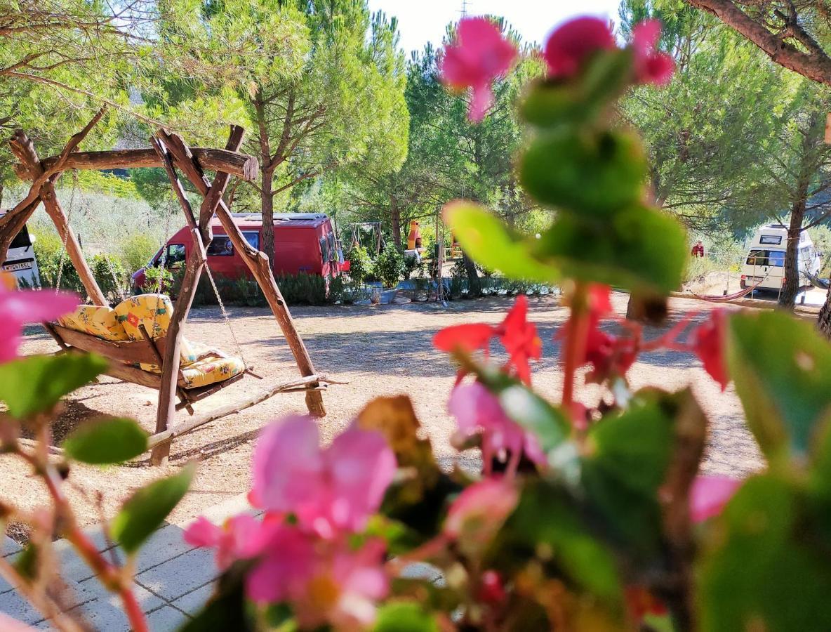 Agricamping Poggio Ai Pini Wine Camping Certaldo Buitenkant foto