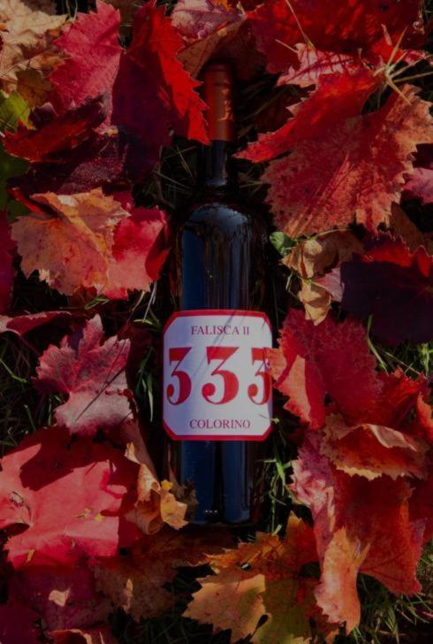 Agricamping Poggio Ai Pini Wine Camping Certaldo Buitenkant foto